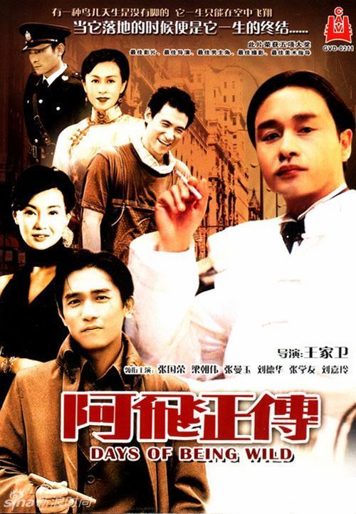 马特拉音乐学院 Market Development Diploma